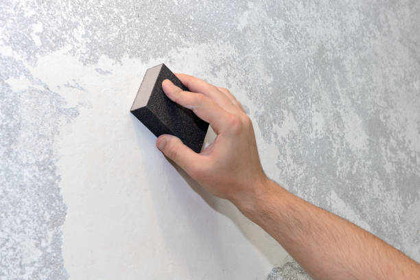 Best Mold Remediation for Healthcare Facilities  in Westhampton, NY