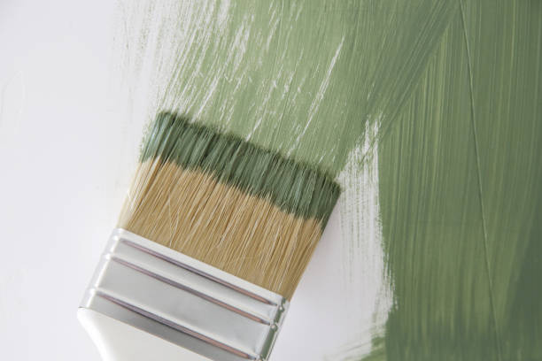 Best Mold Documentation for Insurance Claims  in Westhampton, NY