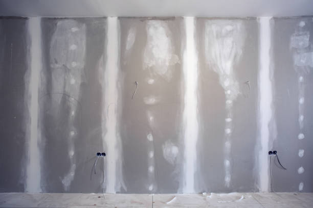 Best Comprehensive Air Testing for Mold Contaminants  in Westhampton, NY